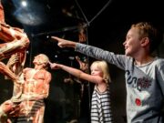 Amsterdam with children: What to do with children?