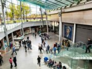 Visit Van Gogh Museum: Overview & Info