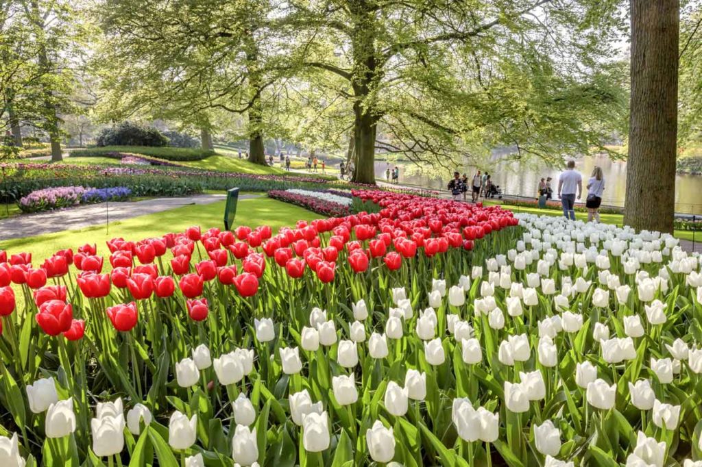 The best time to visit the Keukenhof