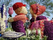 Keukenhof Holland: Opening hours 2026